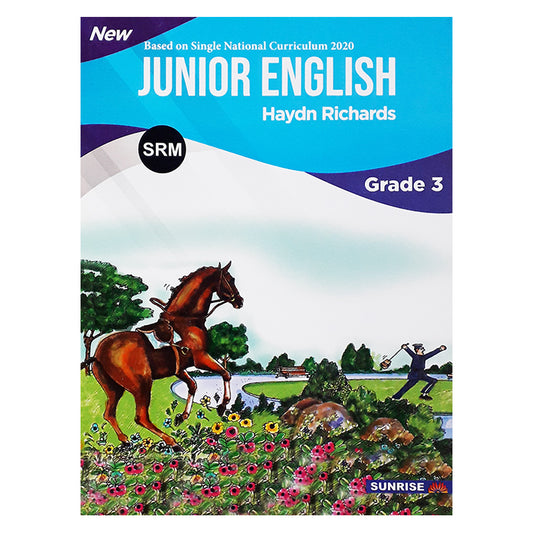 New Junior English Grade 3 by Haydn Richards