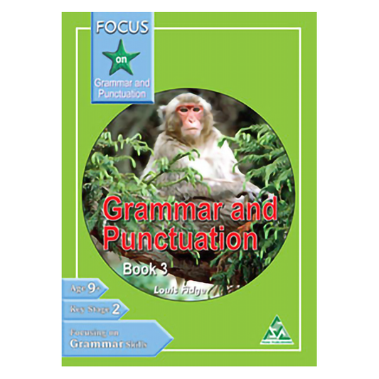 Focus on Grammar & Punctuation Book 3