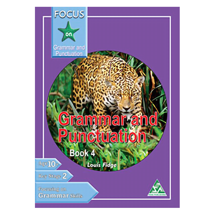 Focus on Grammar & Punctuation Book 4