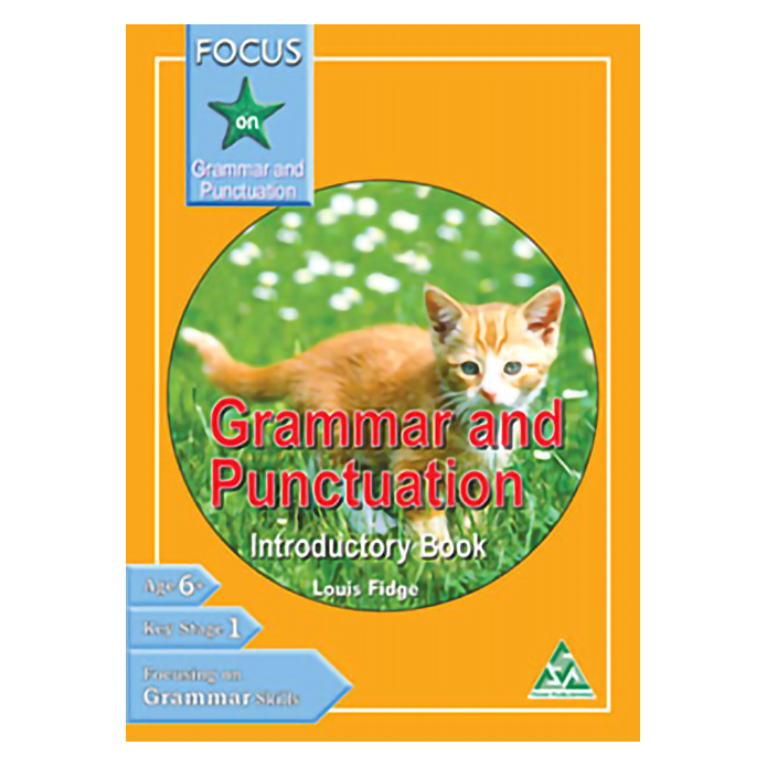 Focus on Grammar & Punctuation Book Introductory