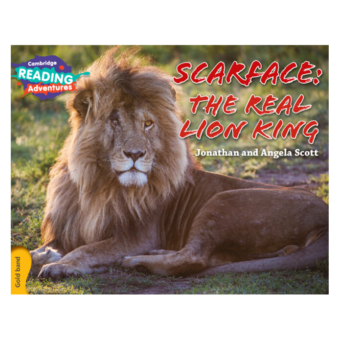 Cambridge Reading Adventures Scarface: The Real Lion King Gold Band